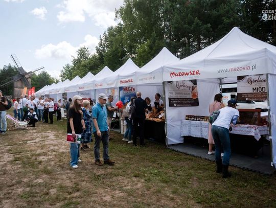 MazoPiknik w Muzeum Wsi Radomskiej (zdjęcia) MazoPiknik w Muzeum Wsi Radomskiej (zdjęcia)
