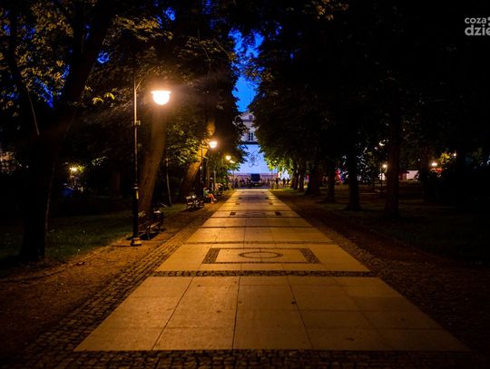 Kino na leżakach (zdjęcia)