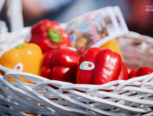 Konferencja promująca Ogólnopolskie Targi Papryki (zdjęcia)