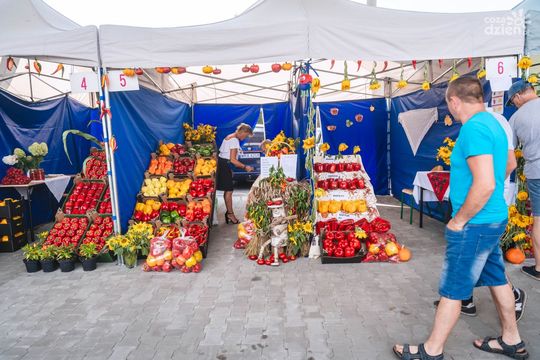 XXII Ogólnopolskie Targi Papryki 