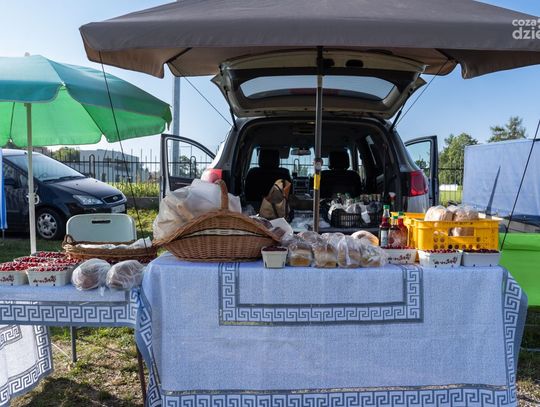 Szydłowieckie Targi Rolne Sprzedaży Bezpośredniej (zdjęcia)