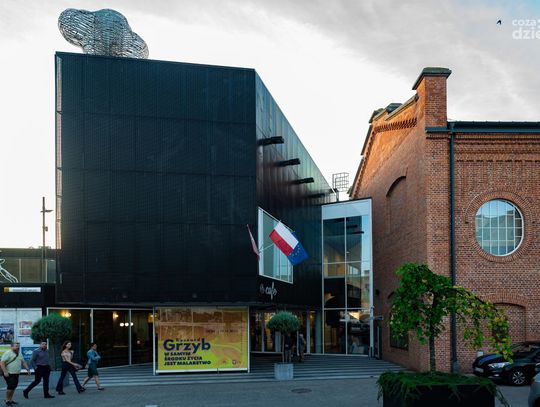 "W samym środku życia jest malarstwo" - Ryszard Grzyb w Elektrowni (zdjęcia) "W samym środku życia jest malarstwo" - Ryszard Grzyb w Elektrowni (zdjęcia)