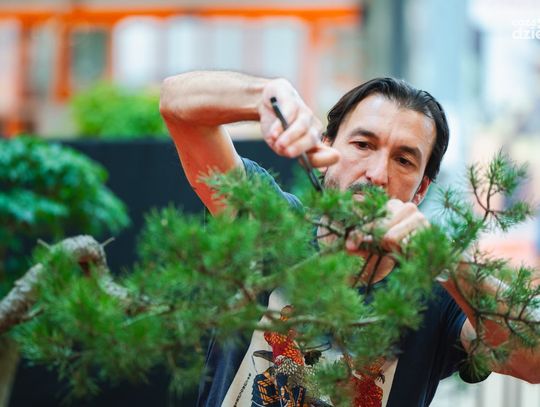 Weekend w obiektywie