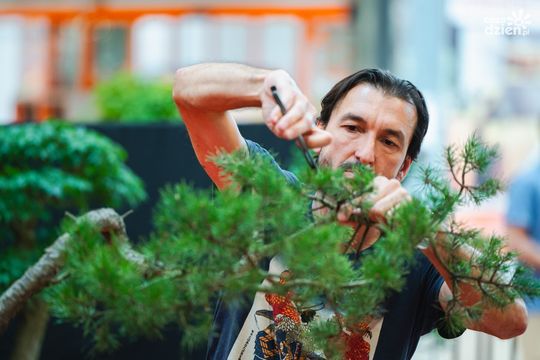 Weekend w obiektywie