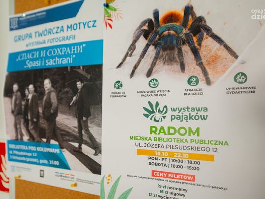 Wystawa pająków w Miejskiej Bibliotece Publicznej (zdjęcia)