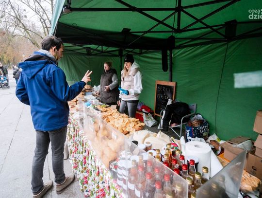 Jarmark "Gęsina Św. Marcina" (zdjęcia)