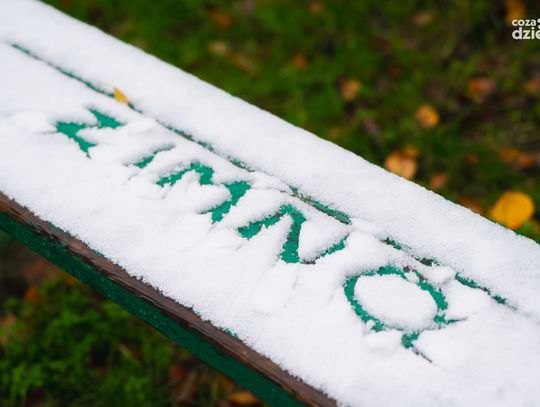 Weekend w Obiektywie