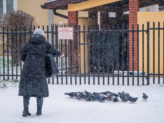 Zima w mieście (zdjęcia)