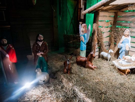 Radomska Szopka w Muzeum Wsi Radomskiej (zdjęcia)