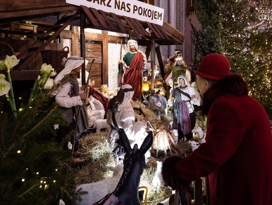 Szopki w wybranych radomskich kościołach (zdjęcia)
