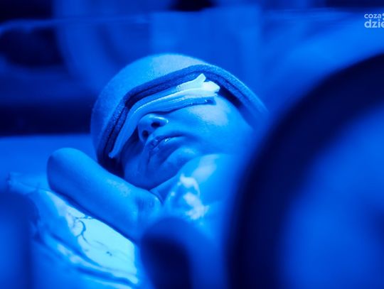 Wizyta u pierwszego radomianina urodzonego w 2024 roku (zdjęcia) Wizyta u pierwszego radomianina urodzonego w 2024 roku (zdjęcia)