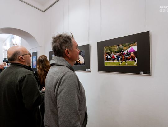 Doroczna wystawa Radomskiego Towarzystwa Fotograficznego (zdjęcia)