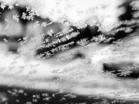 Zima w czerni i bieli (zdjęcia)