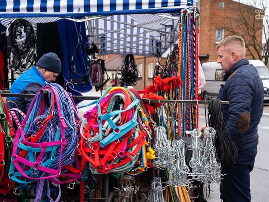 Wstępy w Skaryszewie (zdjęcia)