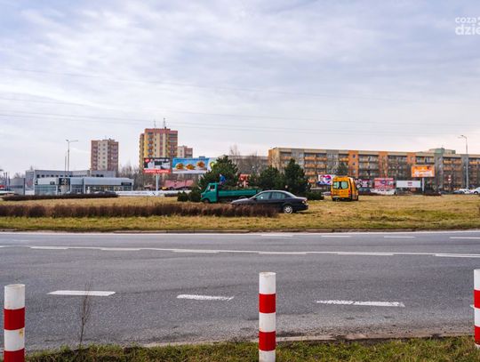 Wycinanie drzew na rondzie warszawskim (zdjęcia)