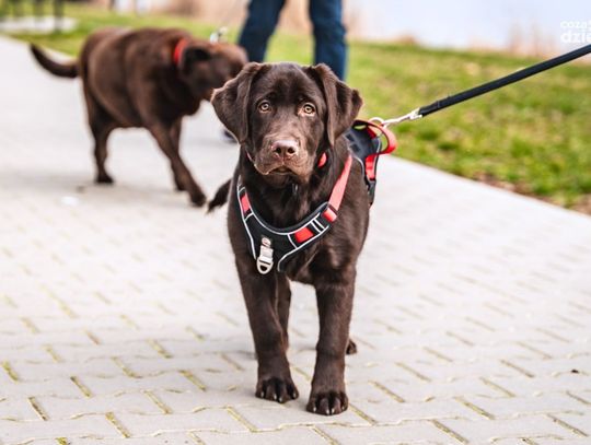 Weekend w obiektywie