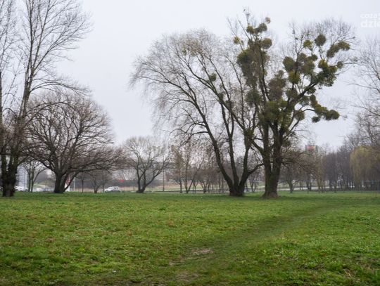 Konferencja poświęcona planom poszerzenia parku na Ustroniu (zdjęcia)
