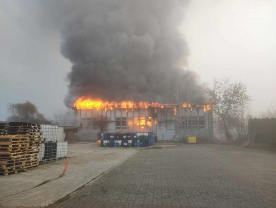 Pożar hali w Wierzbicy (zdjęcia)