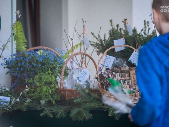 SadziMy - akcja lasów państwowych (zdjęcia)