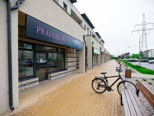 Przedszkolaki prały misie w Express Laundry Radom (zdjęcia)