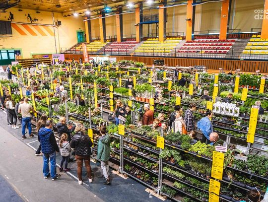 Festiwal Roślin w Radomiu (zdjęcia)