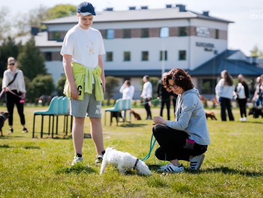 Spacer socjalizacyjny z Dog School & Anna Górka (zdjęcia)