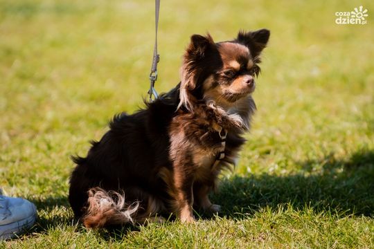 Weekend w obiektywie