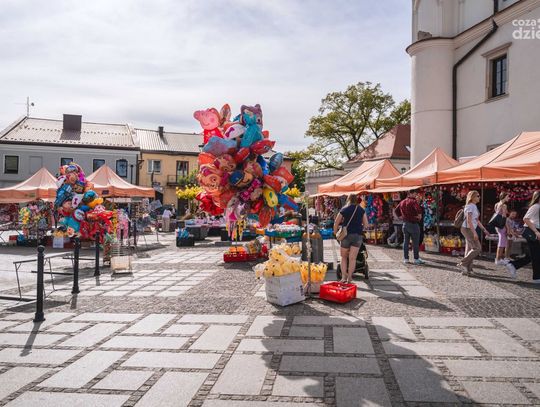 XXI Szydłowieckie Zygmunty (zdjęcia)