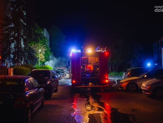 Nocny pożar samochodów przy ul. Jastrzębiej (zdjęcia)