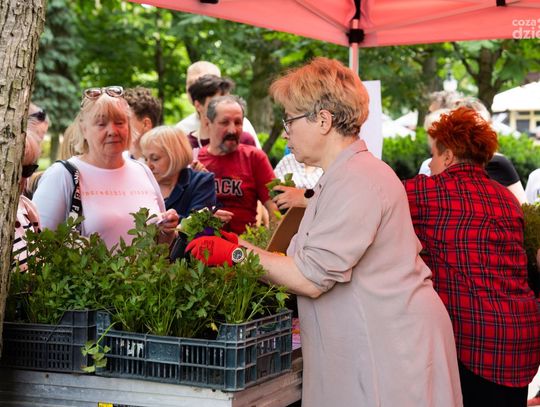 Weekend w obiektywie