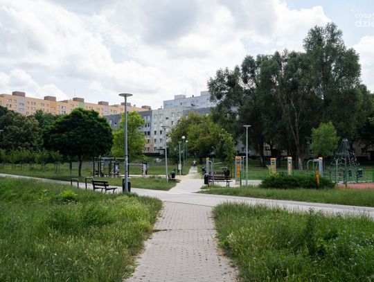 Konferencja prasowa dot. zmiany funkcjonalności zbiornika retencyjnego w Parku Ustronie (zdjęcia)
