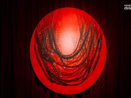 Parada, festyny i teatry uliczne. Zobaczcie weekend w obiektywie 