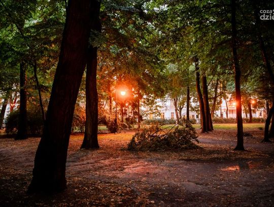 Zniszczenia po burzy w Parku Kościuszki (zdjęcia)