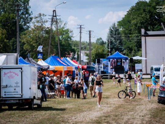 IV Memoriał im. Marcina Pawlaka w piłce siatkowej (zdjęcia)