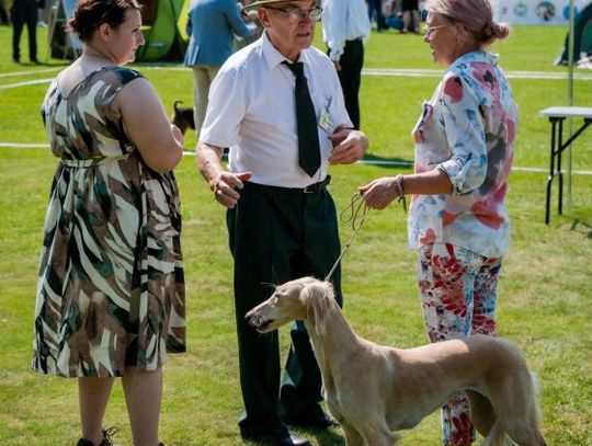 Wystawa psów rasowych w Pakosławiu (zdjęcia) Wystawa psów rasowych w Pakosławiu (zdjęcia)