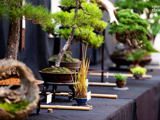 Weekend w obiektywie Weekend w obiektywie