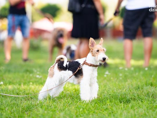 Weekend w obiektywie Weekend w obiektywie