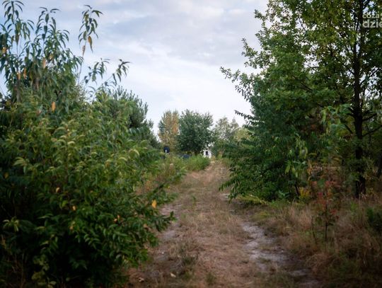 Ulica Jana Zumbacha (zdjęcia)