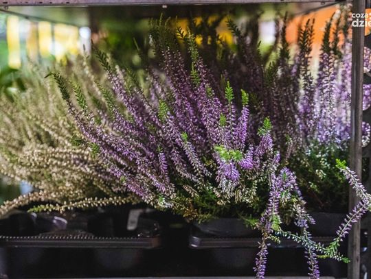 Weekend w obiektywie