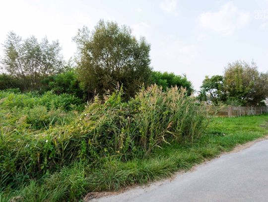 Miejsce planowanego krematorium przy ul. Spokojnej we Wsoli (zdjęcia)
