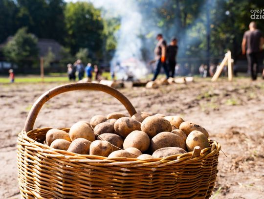 Weekend w obiektywie