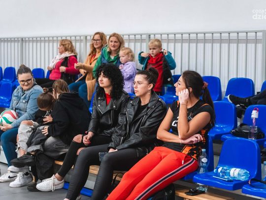 Amatorska Liga Akademii Piłki Siatkowej (zdjęcia)