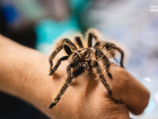 Weekend w obiektywie. Zobaczcie zdjęcia! 