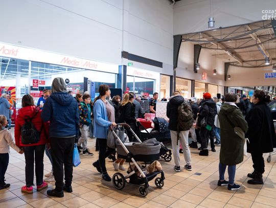 II Wystawa Kotów Rasowych w Centrum Handlowym M1 (zdjęcia)