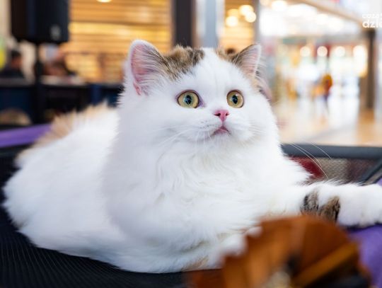 Weekend w obiektywie