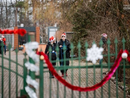 Mikołajki w Schronisku (zdjęcia)