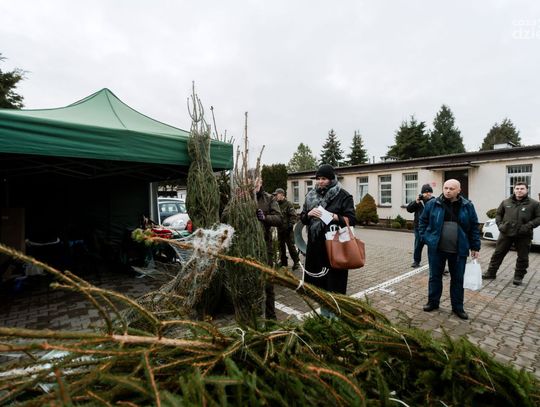 Choinka dla życia (zdjęcia)