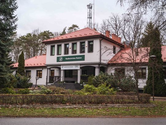 Stroisz od radomskich leśników (zdjęcia)