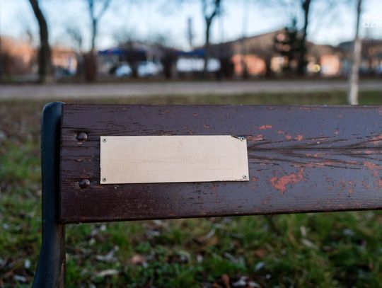 Zniszczone Ławki Literackie w Starym Ogrodzie (zdjęcia) Zniszczone Ławki Literackie w Starym Ogrodzie (zdjęcia)