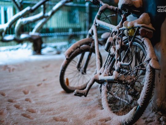 Zima zawitała do Radomia (zdjęcia)